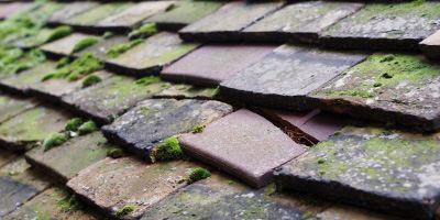 Hoylake roof repair costs